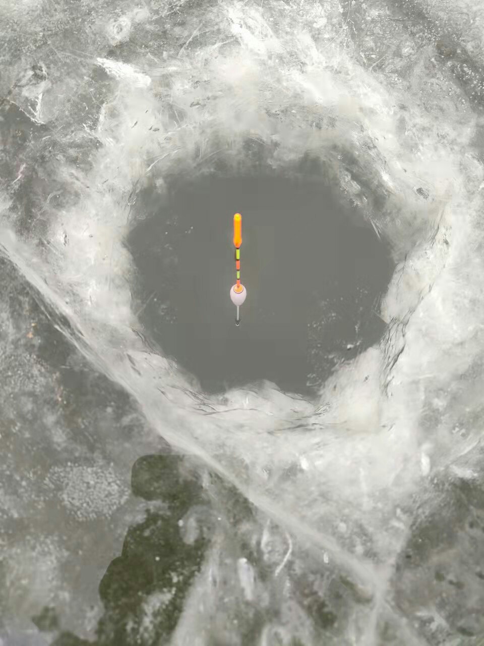 1640821612566722.jpeg