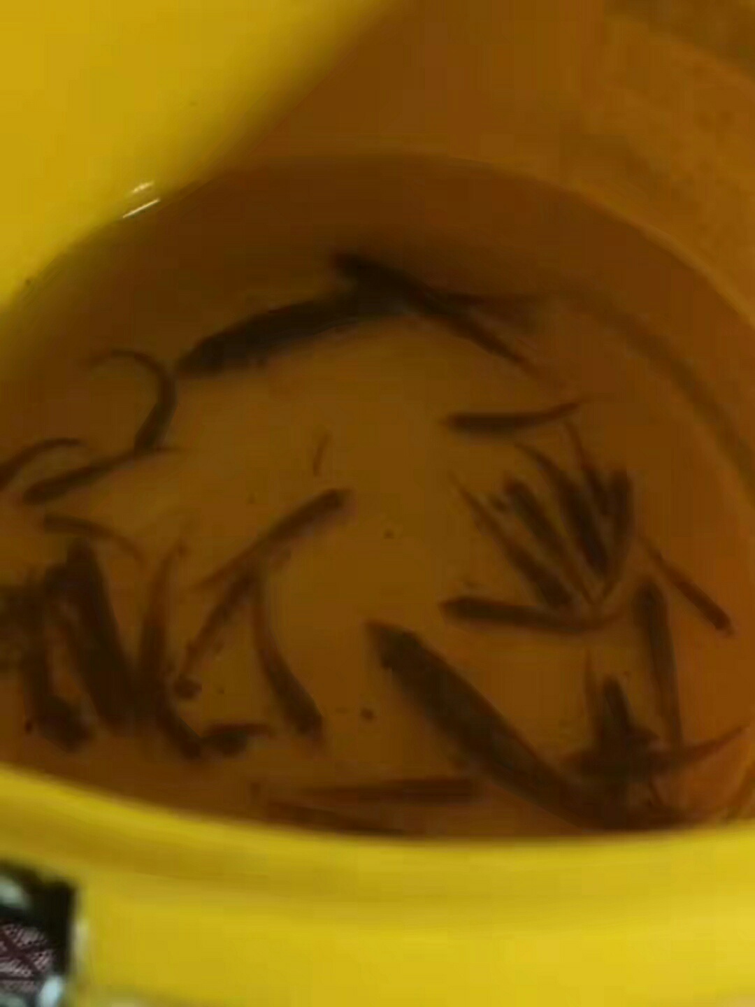1641201233285978.jpeg