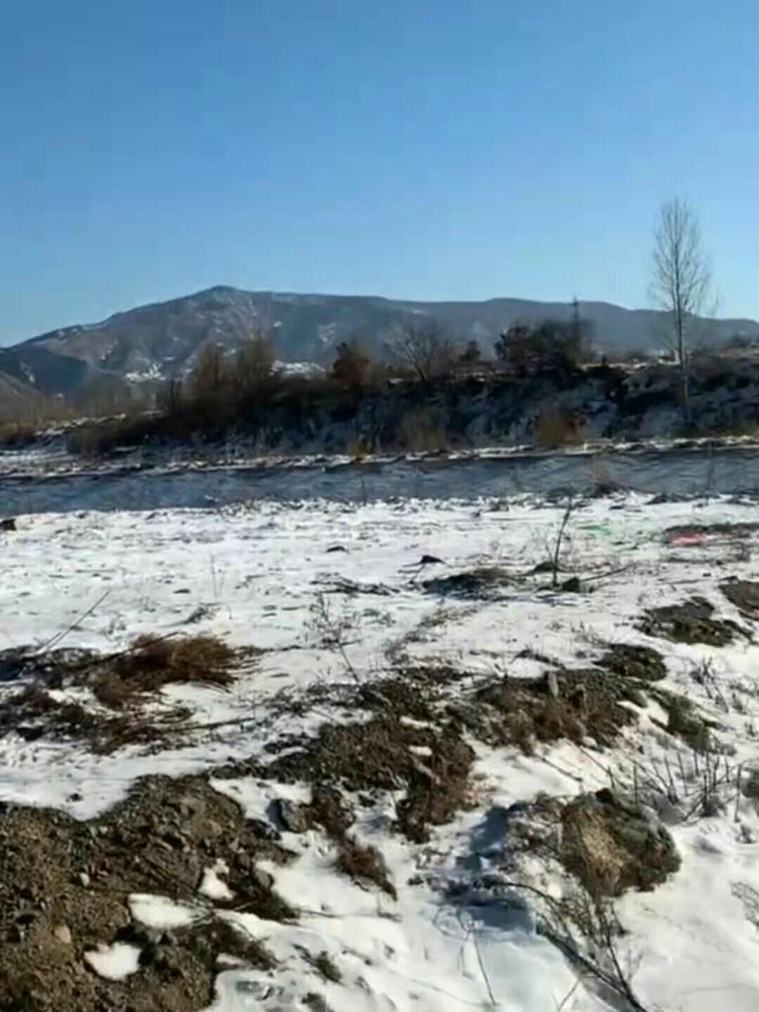 1641277848334506.jpeg