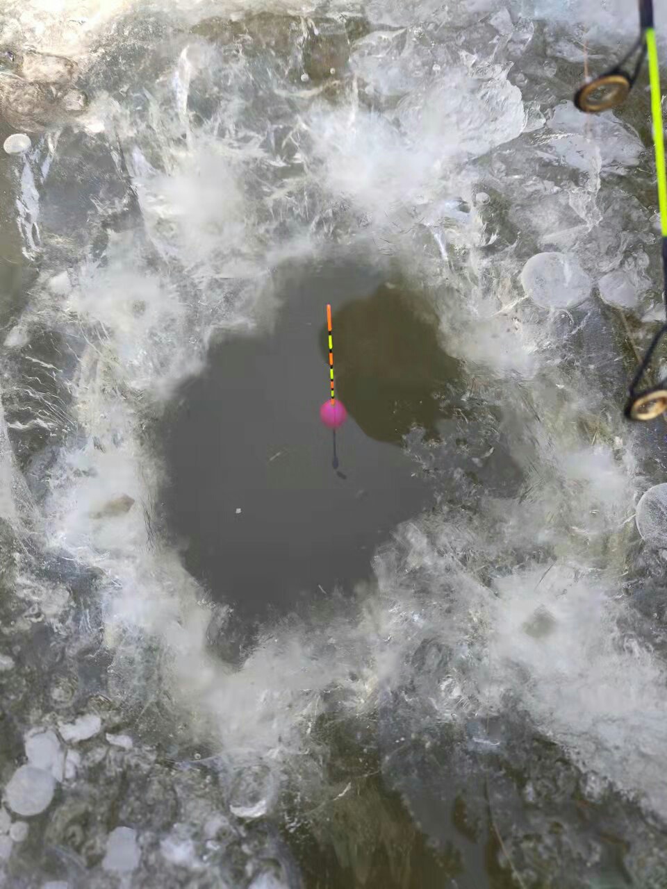 1641372776340480.jpeg