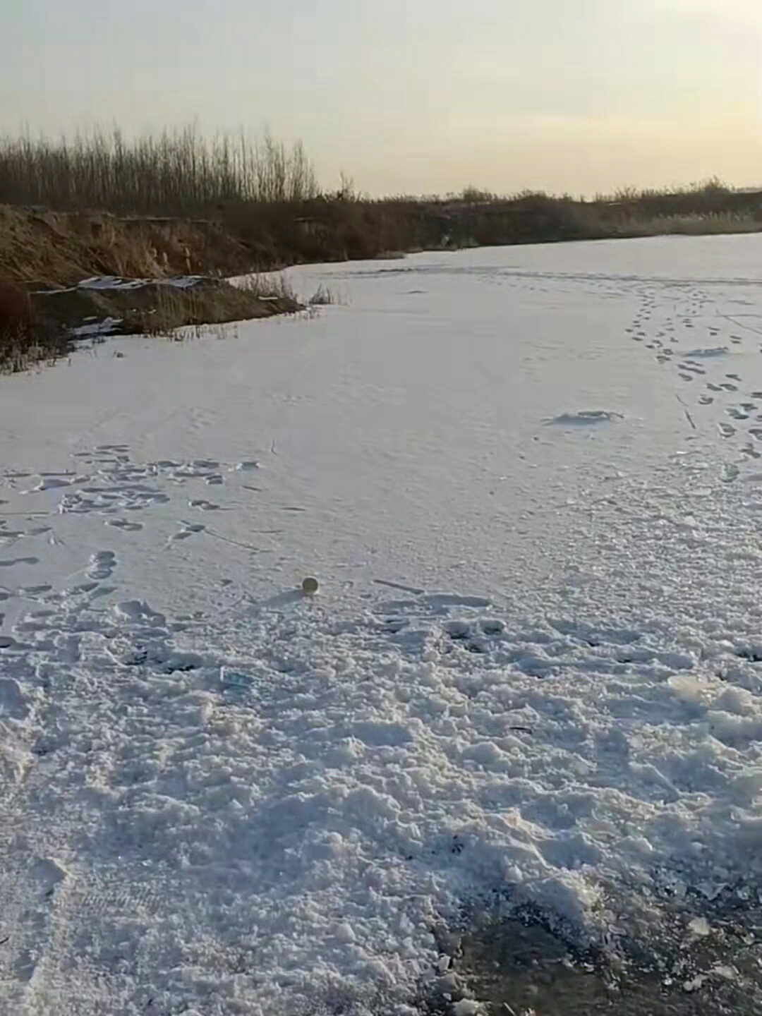 1641372800798880.jpeg