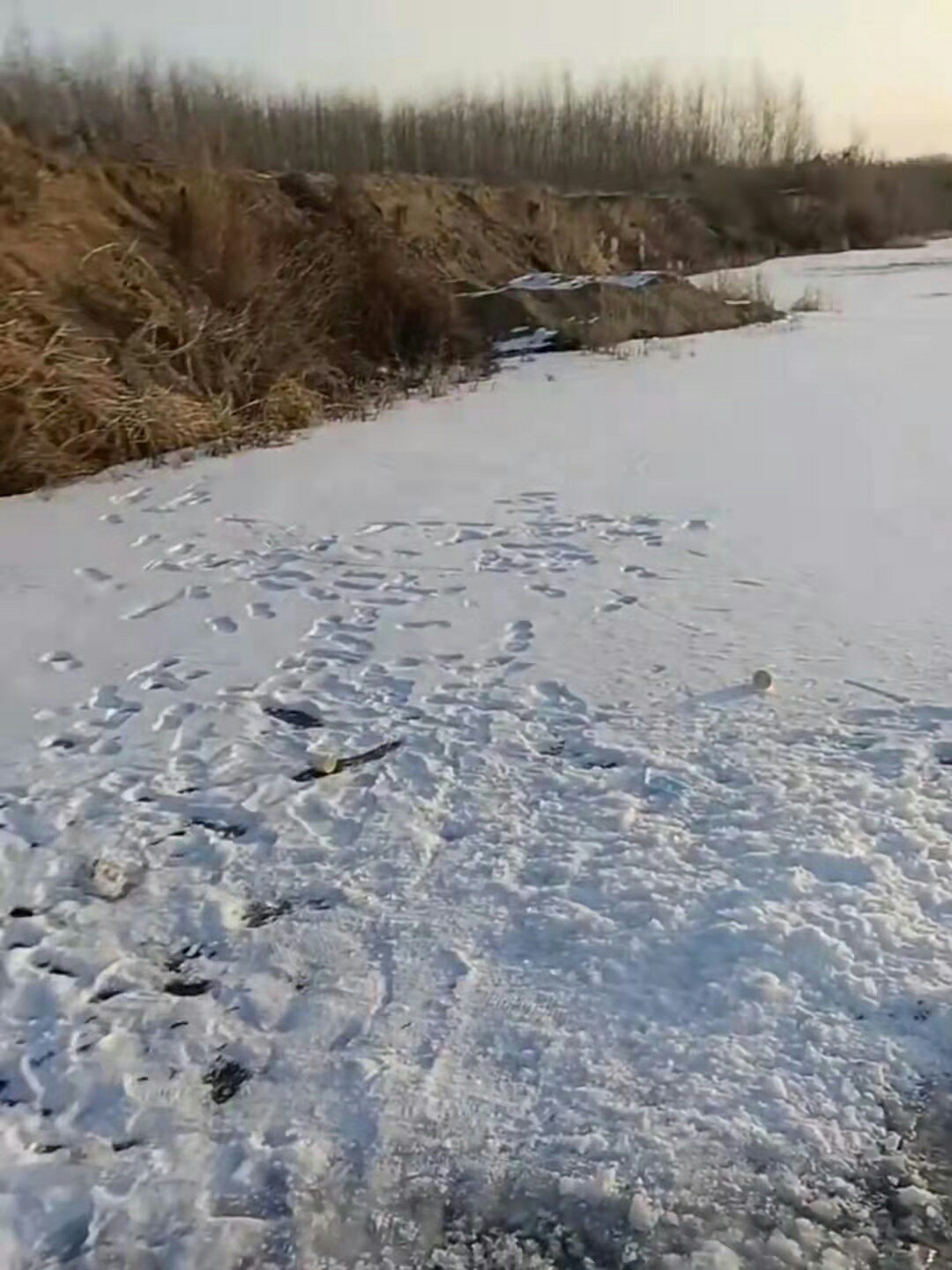 1641372801701313.jpeg