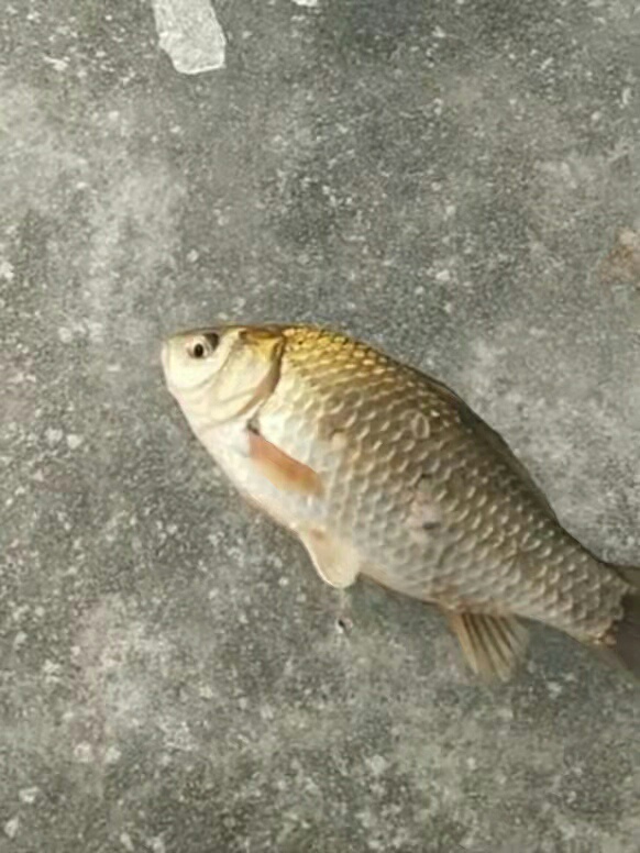 1641449340532285.jpeg