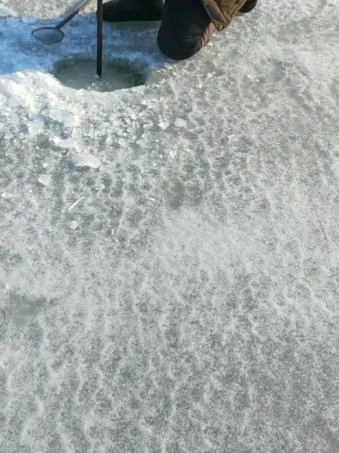 1641449373344530.jpeg