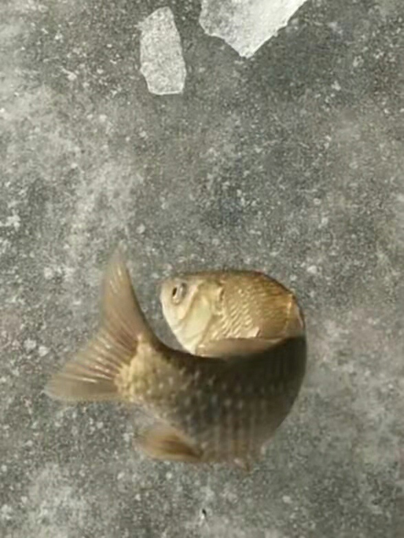1641542546698566.jpeg