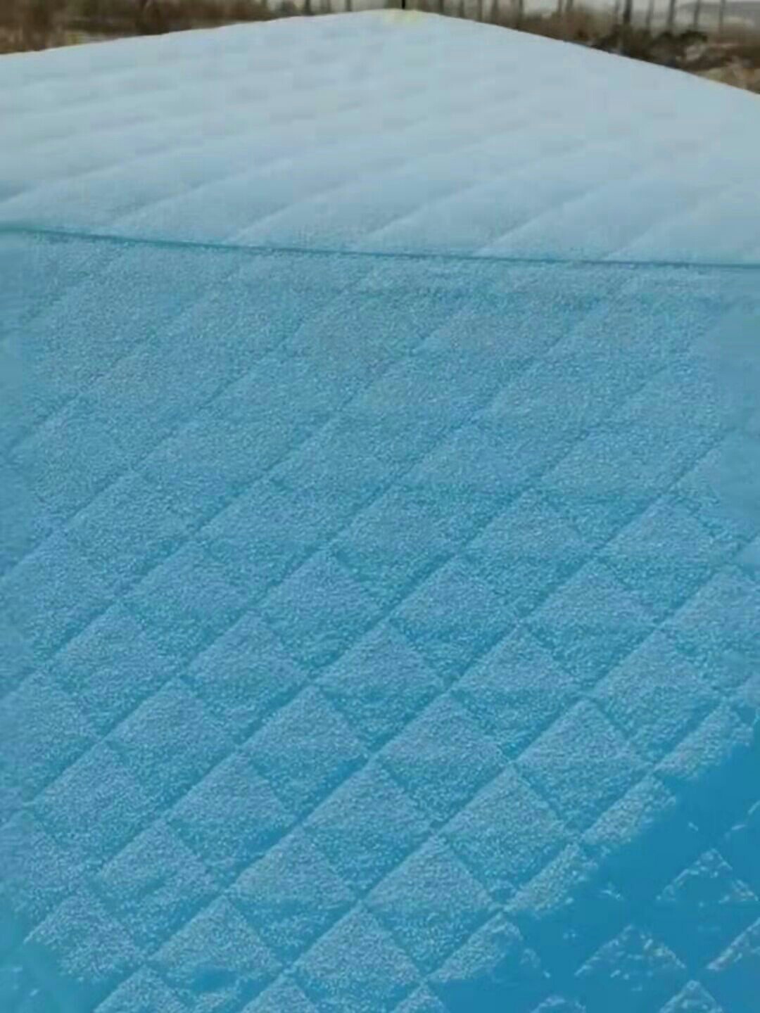 1641891039056772.jpeg