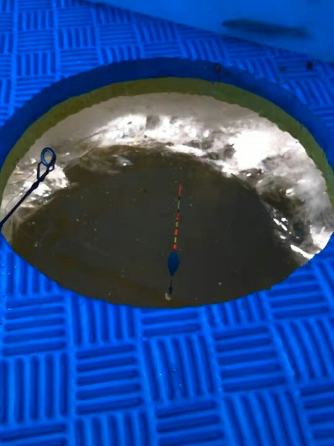 164266443615054.jpeg