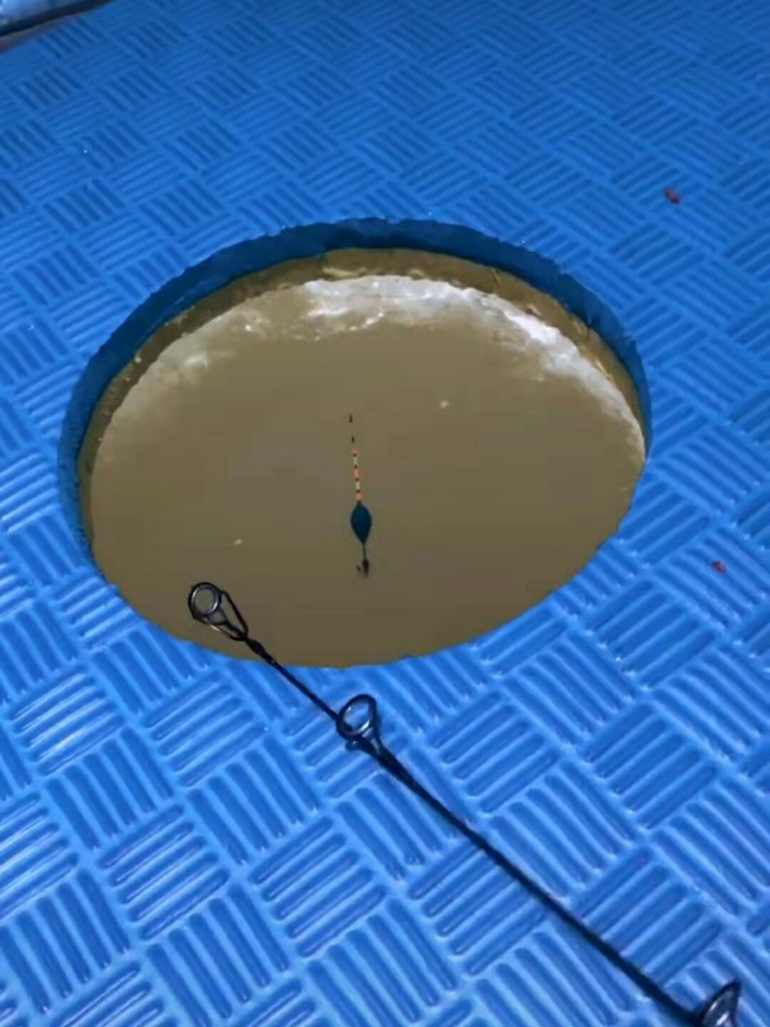 1644282060497998.jpeg