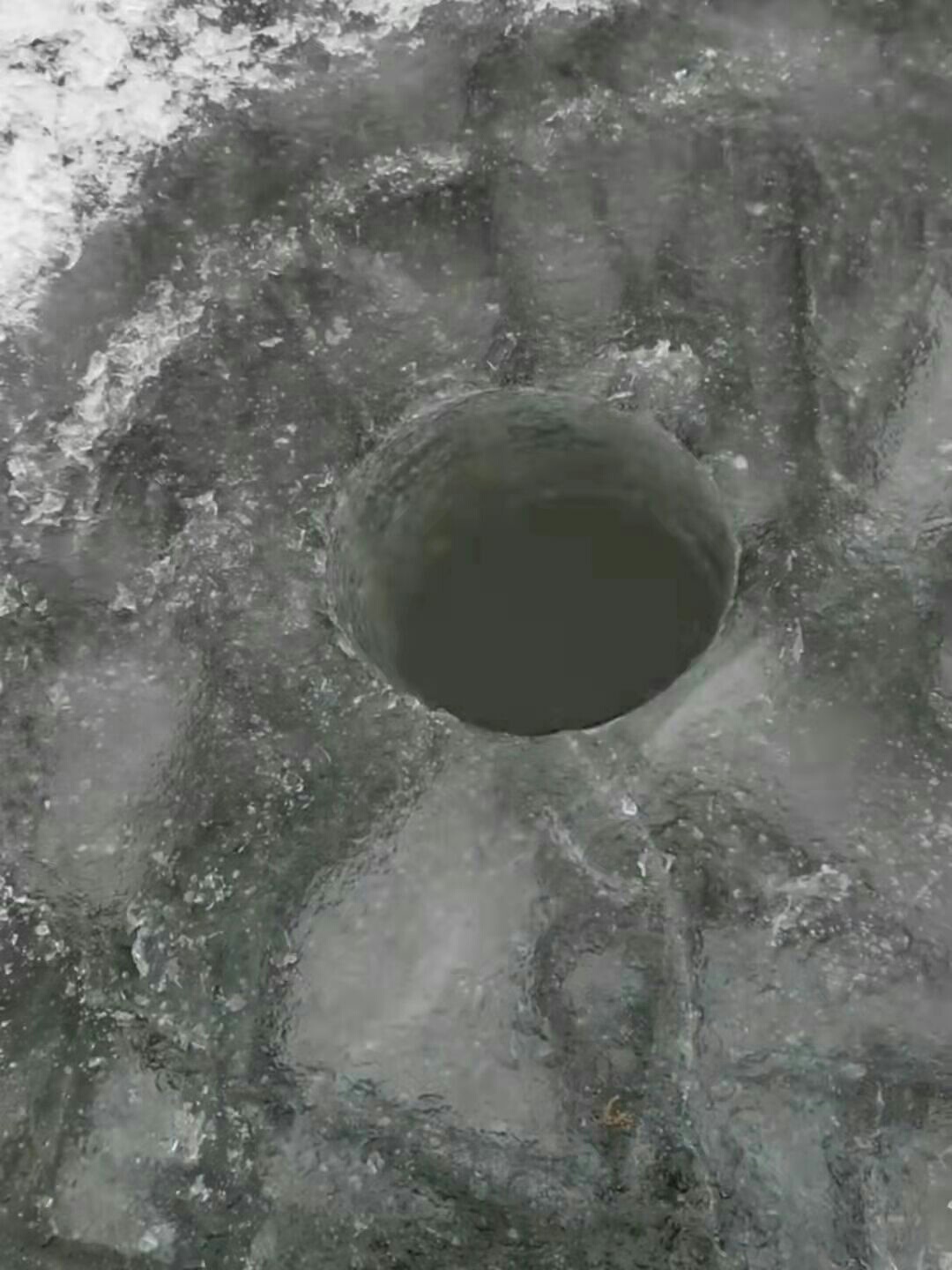 1644402715302340.jpeg