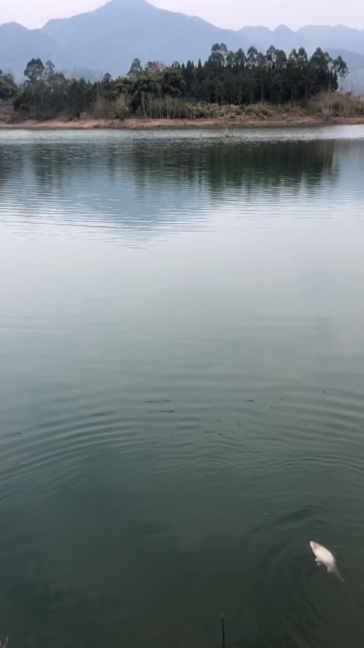 1646020579986916245.jpg