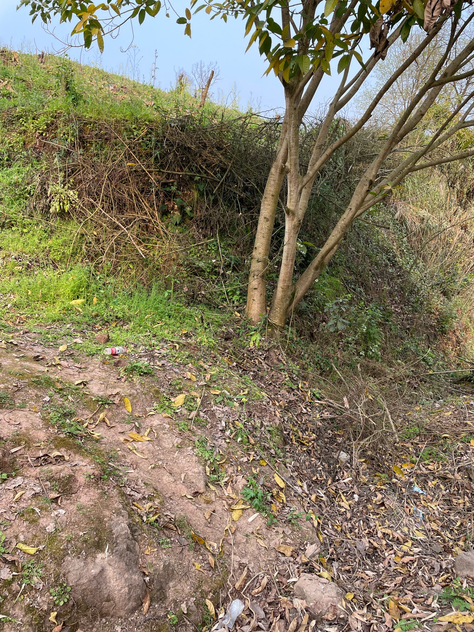 1647173622448529170.jpg