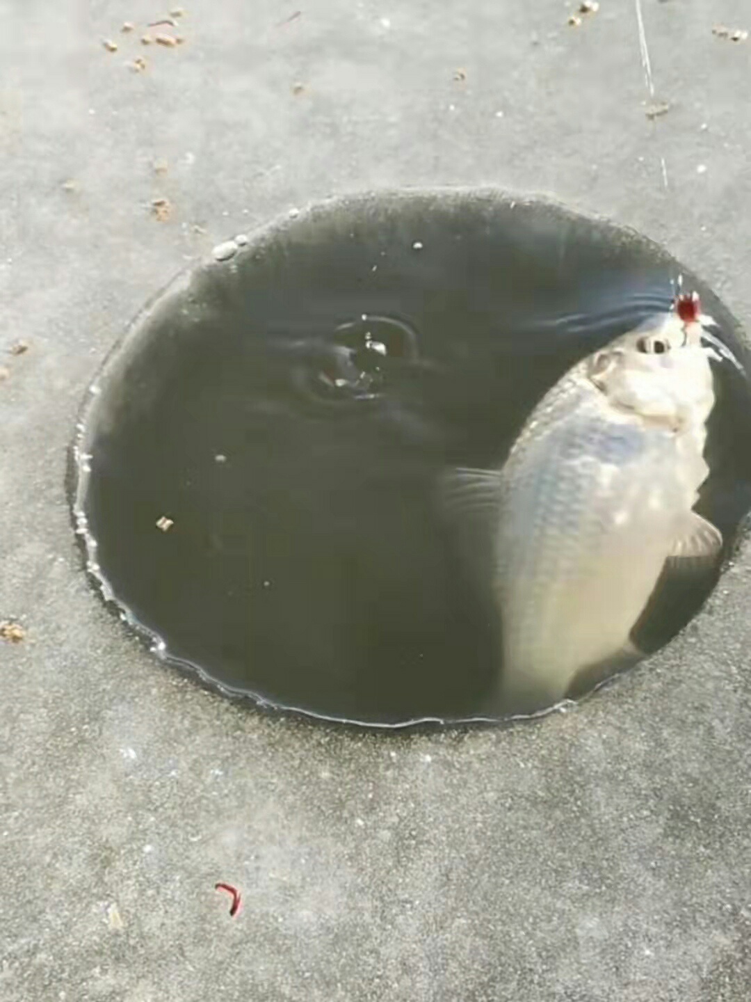 1647169683050414.jpeg