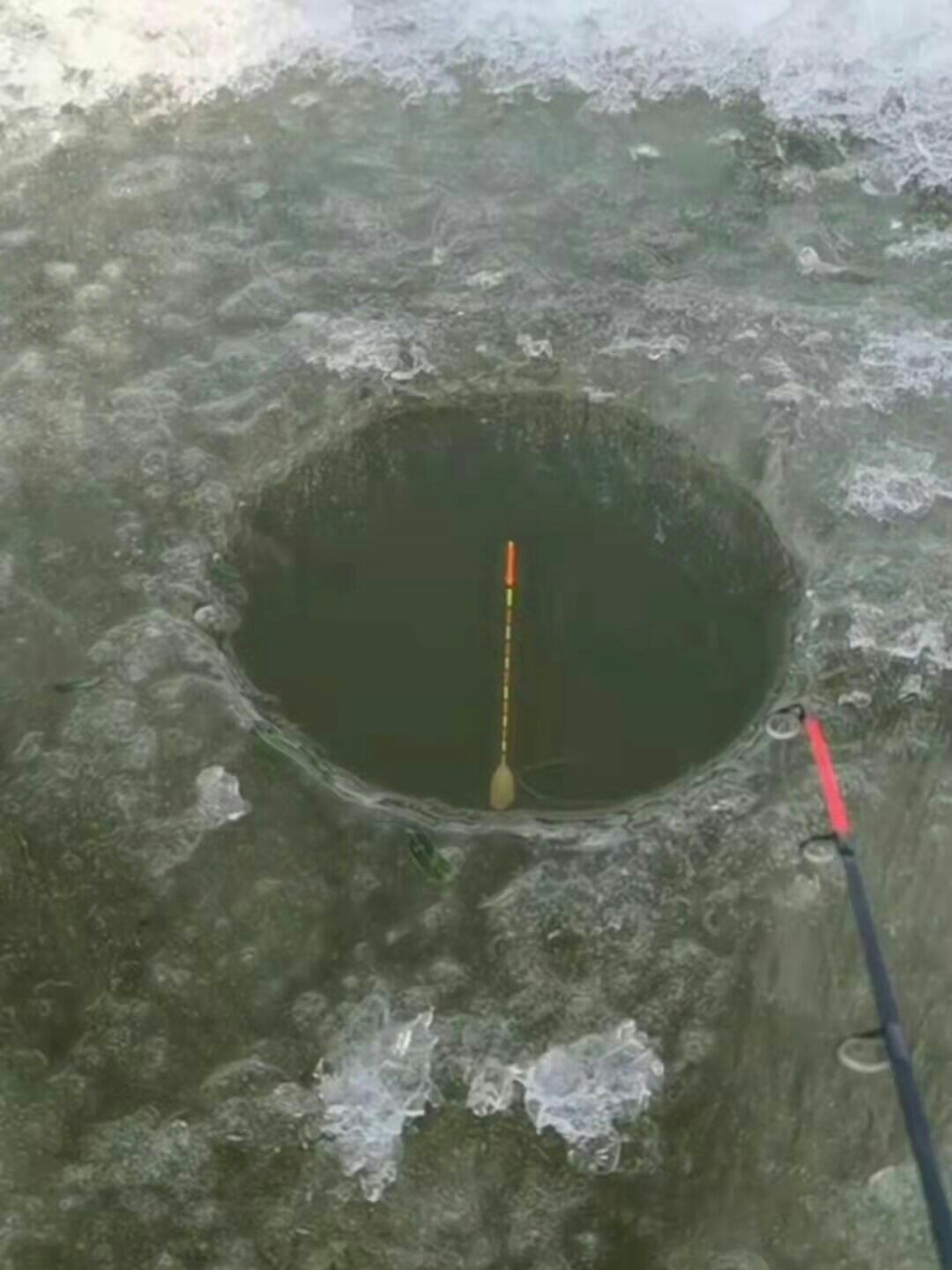 1647755774556662.jpeg