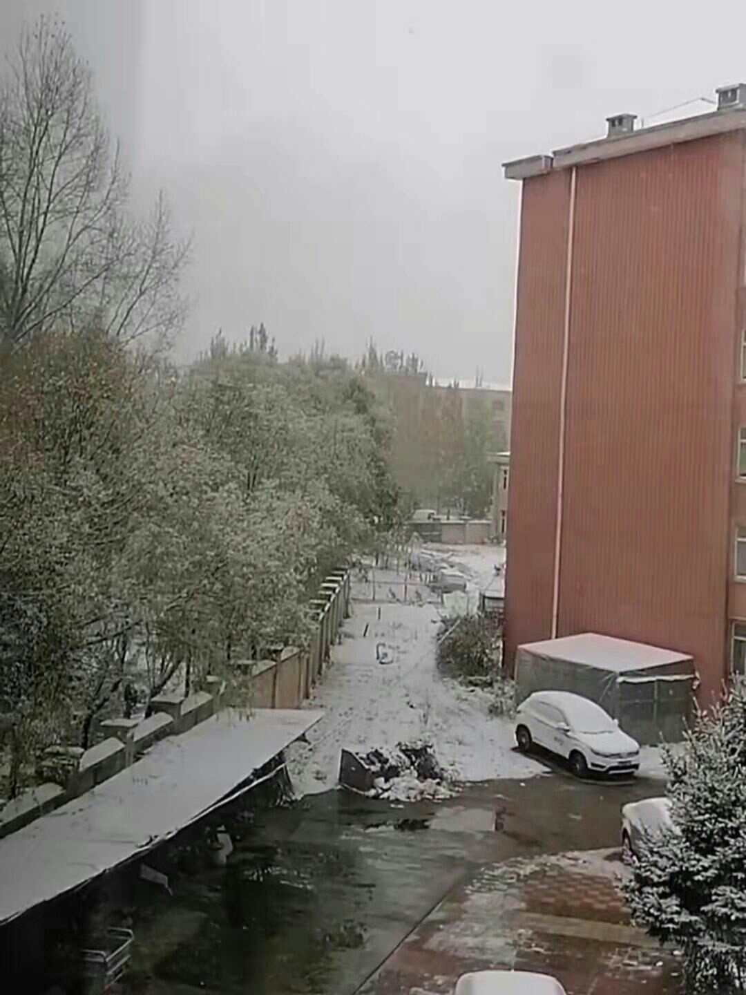 1647755774778205.jpeg
