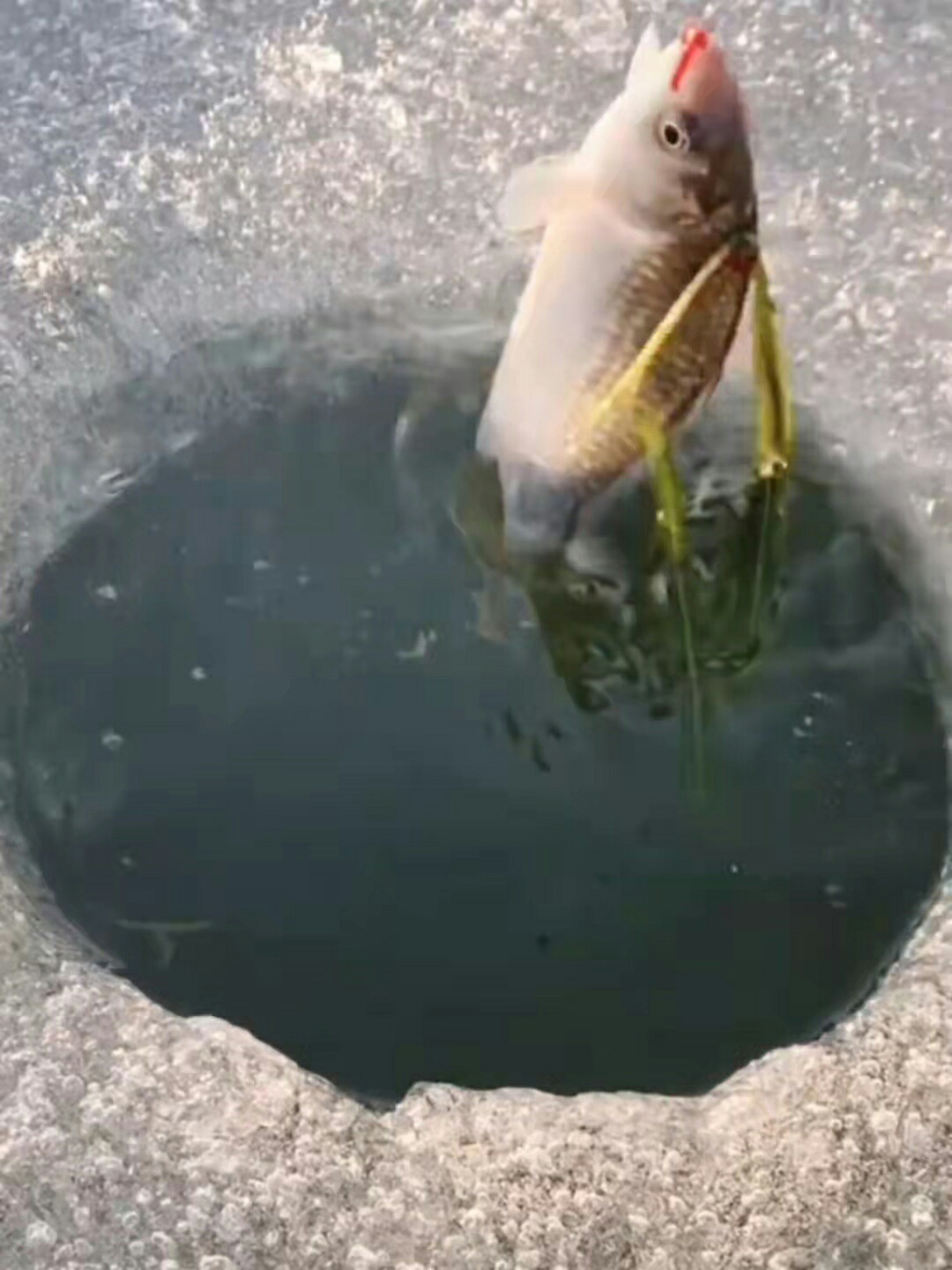 1648174877948847.jpeg