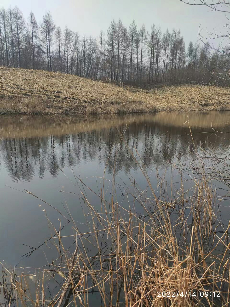 1650086689415164.jpeg