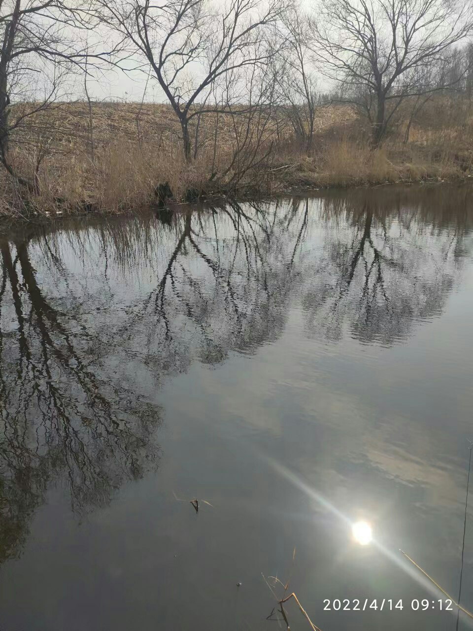 1650086688723324.jpeg