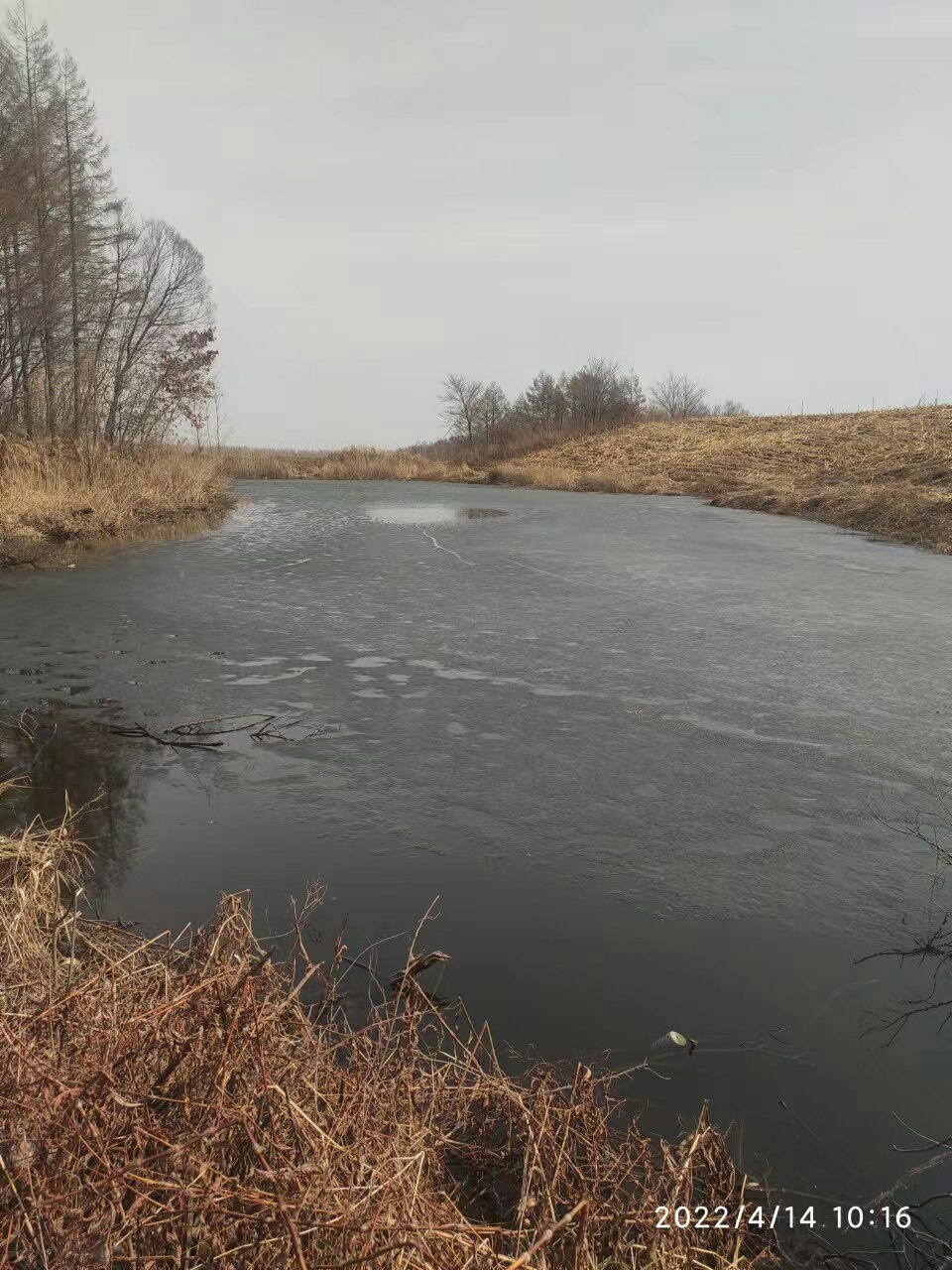1650086728716184.jpeg