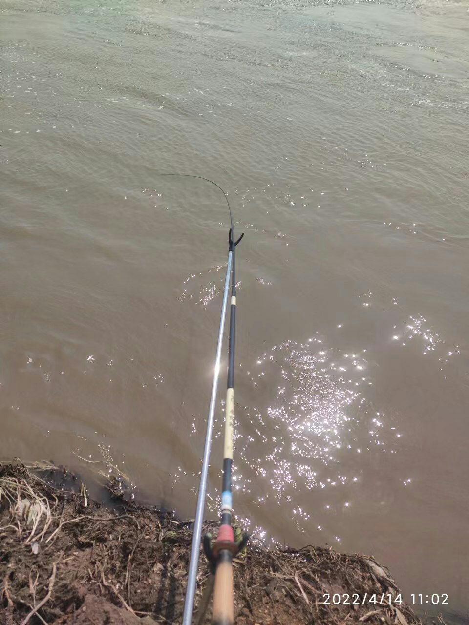 1650086768439265.jpeg