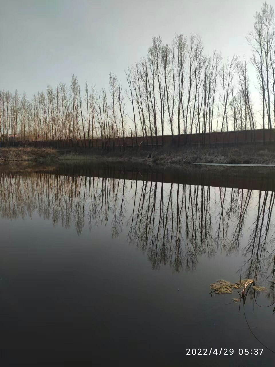 1651369141395386.jpeg