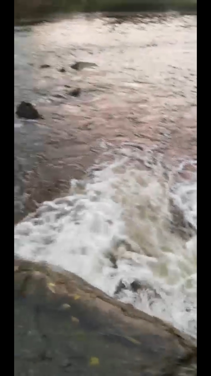 1657023206924811780.jpg