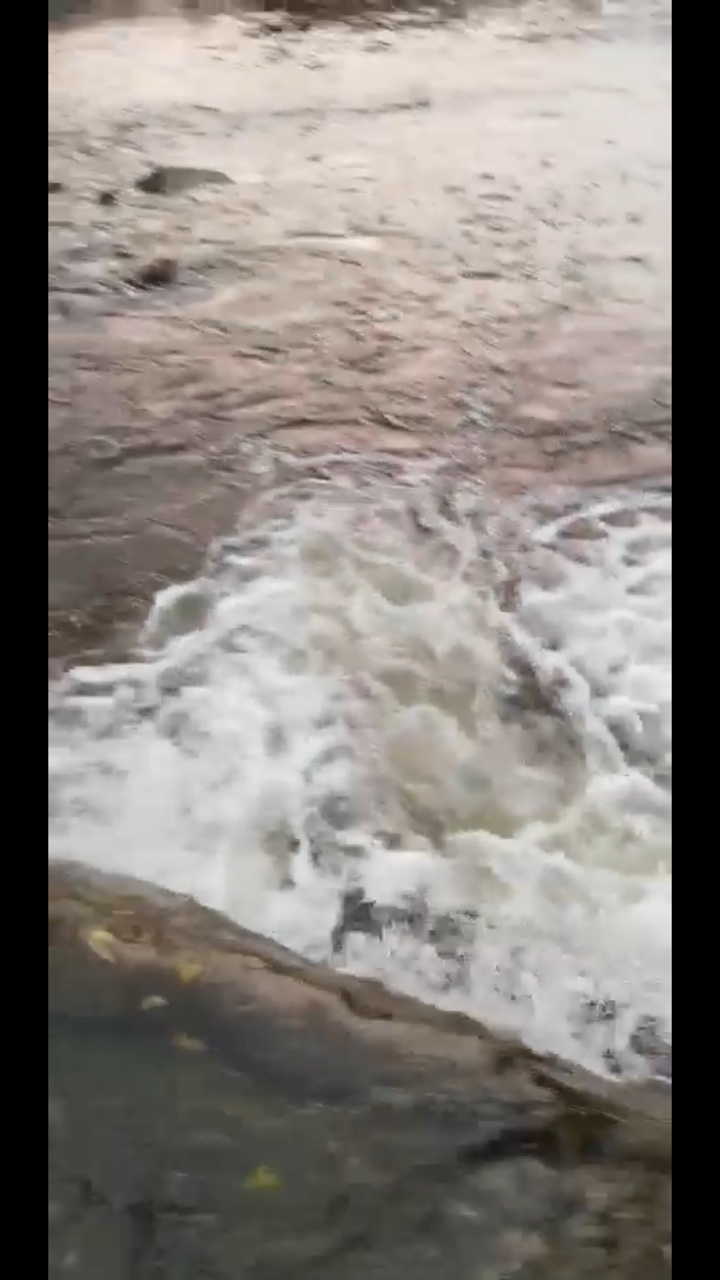 1657023207431460130.jpg