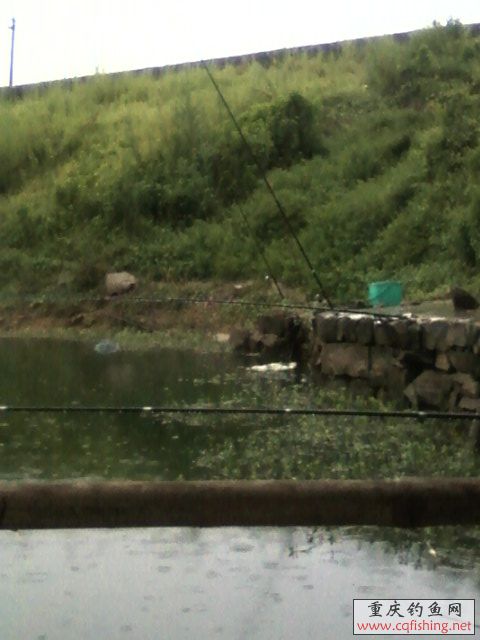 Ƭ-0003.jpg