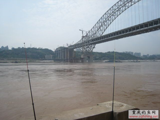 Ƭ 415.jpg