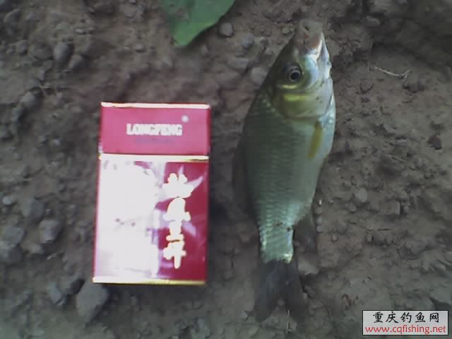 07-08-08_1239.jpg