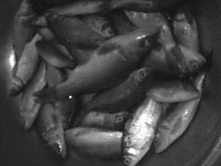 ͼƬ 012.jpg
