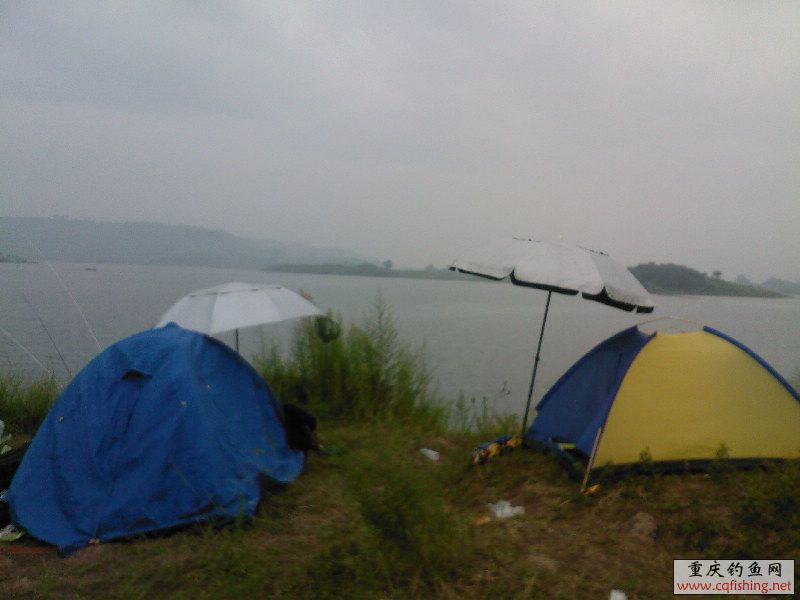 SP_A0081.jpg