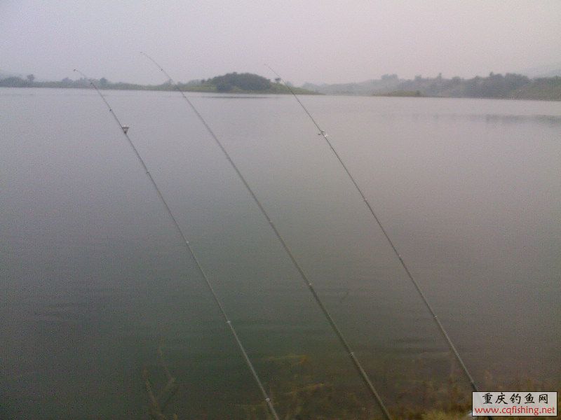 SP_A0073.jpg