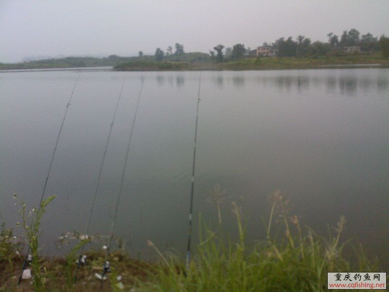 SP_A0078.jpg
