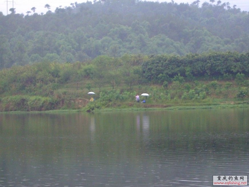 Ƭ 003.jpg