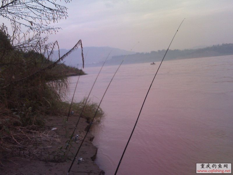 IMG0167A.jpg
