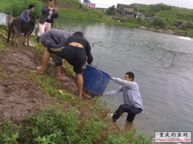 200808301941.jpg
