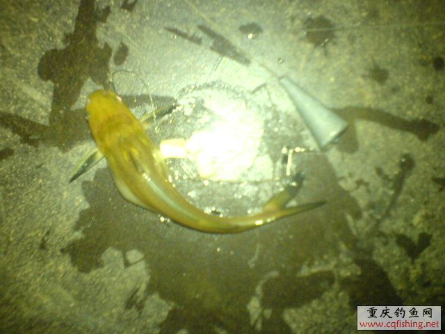 DSC00467.JPG