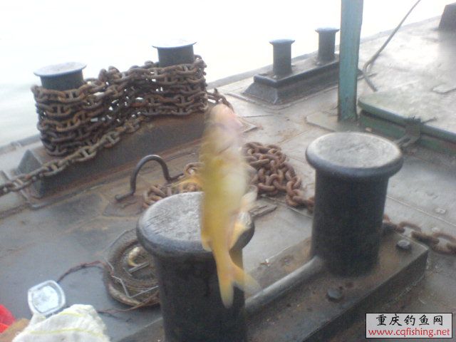 DSC00462.JPG