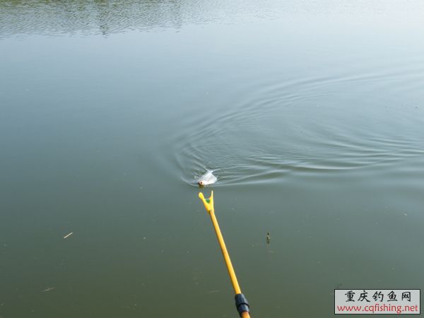 2008_09070016.JPG