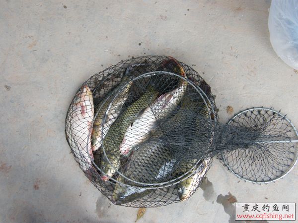 2008_09070067.JPG