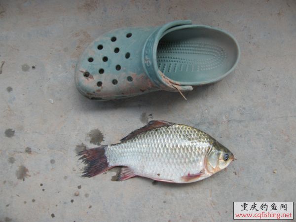 2008_09070060.JPG