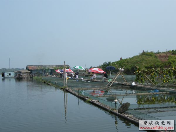 2008_09070062.JPG