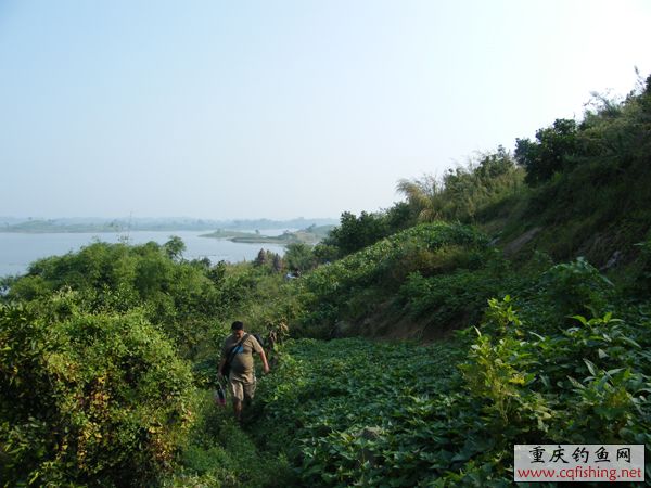 2008_09070013.JPG