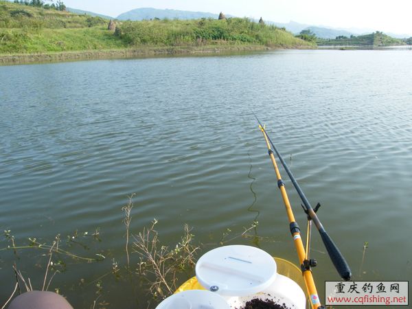 2008_09070019.JPG
