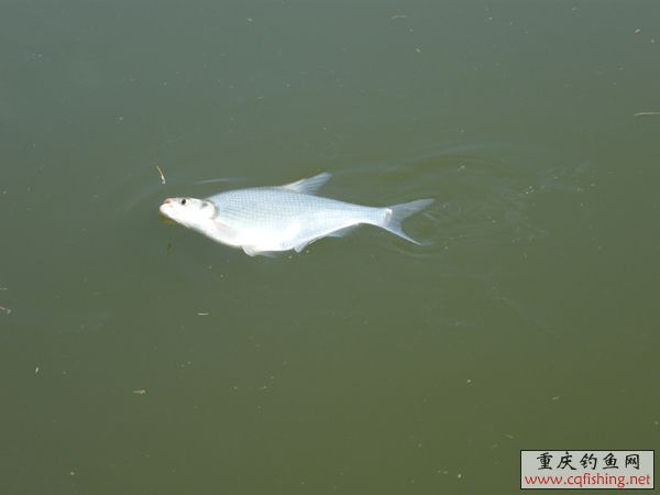 2008_09070017.JPG