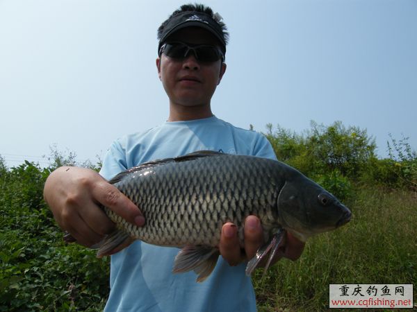 2008_09070058.JPG