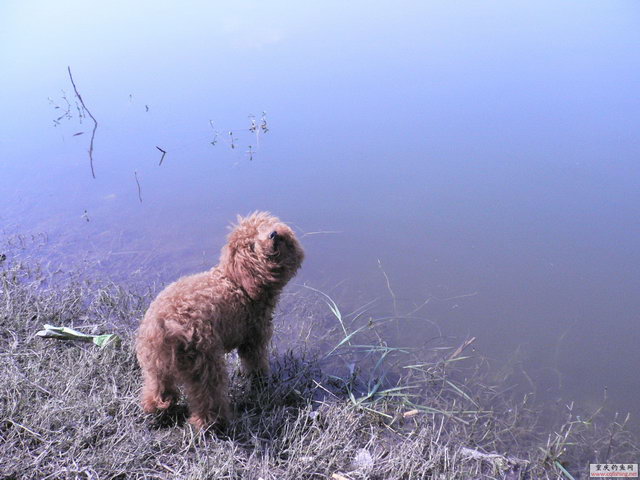 P1030455.JPG