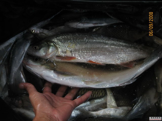 20 063.jpg