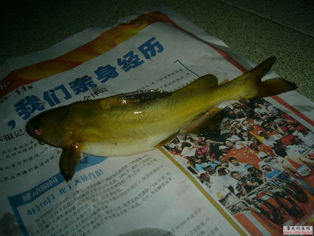 P1160710.JPG