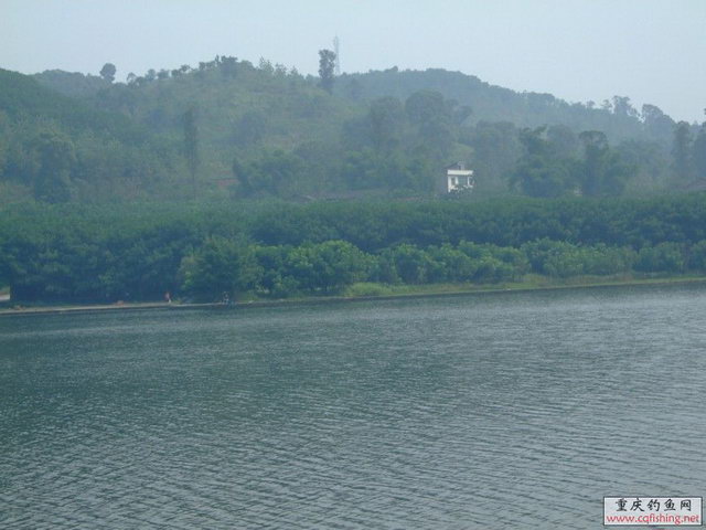 Ƭ 195.jpg
